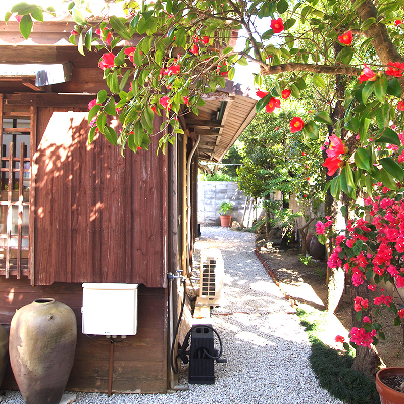 Sandenの家系と歴史