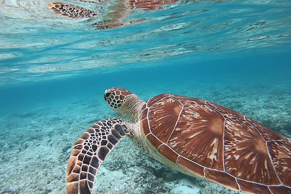 離島へのアクセス